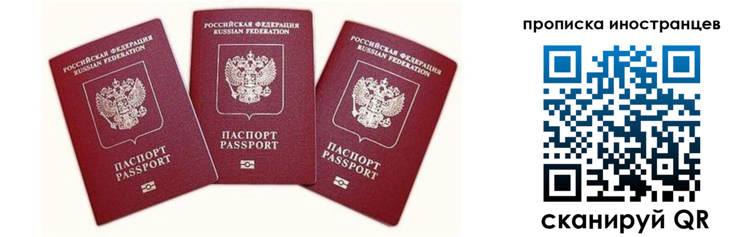 прописка в Павловском Посаде